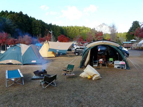 P1250216.jpg