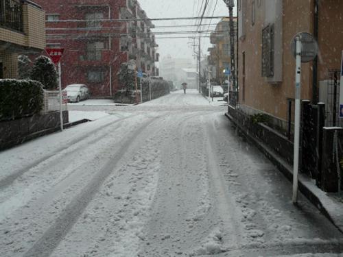 P1250844.jpg
