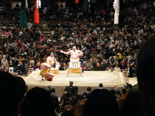 P1320382.jpg