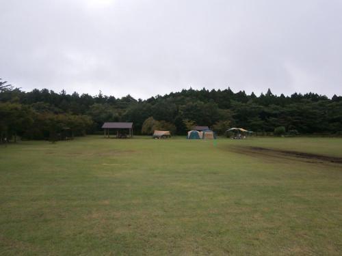 P7160240.jpg