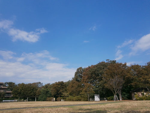 PA201180.jpg