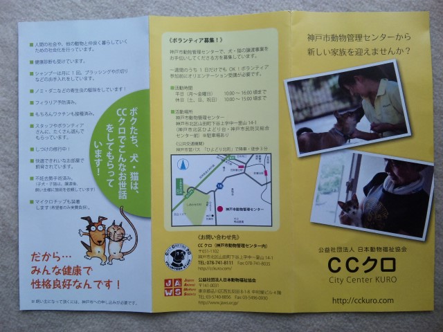 CCクロ１