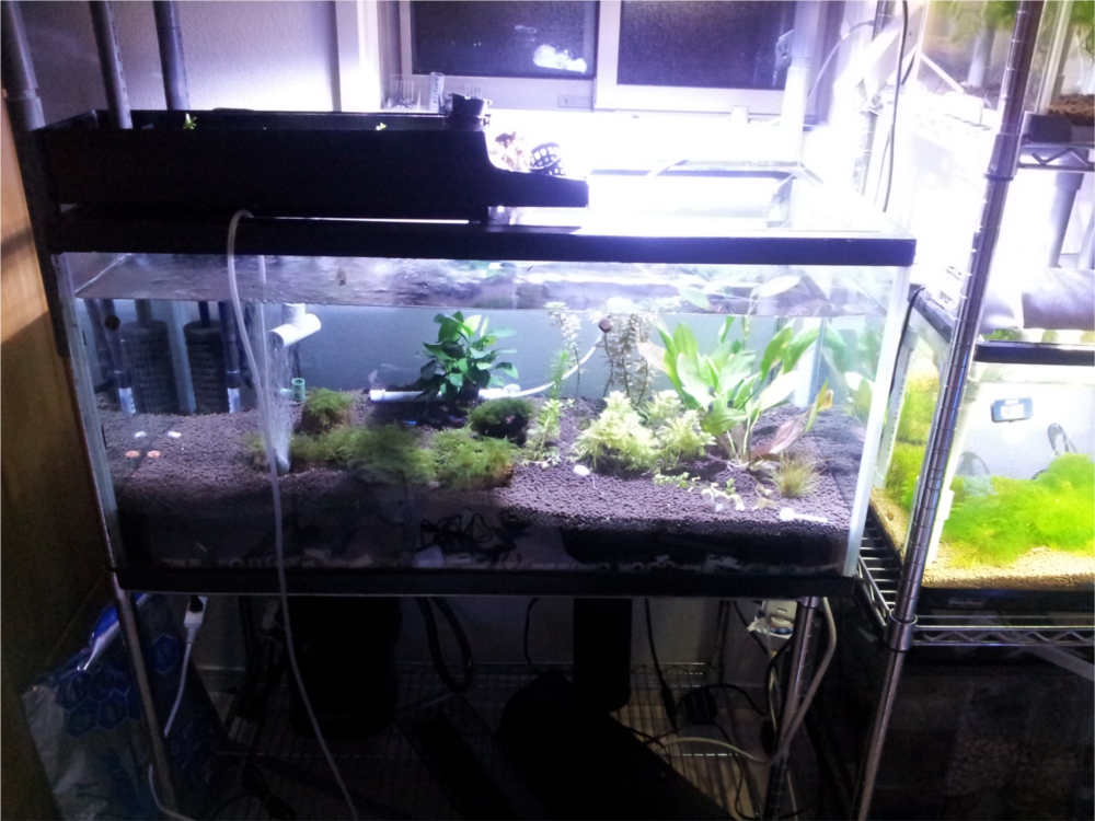20120203_220010.jpg