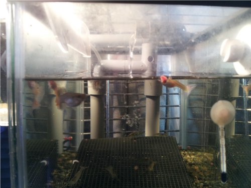 20121030_051305.jpg