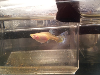 20121108_052035.jpg