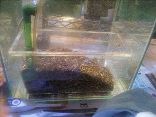 20121109_052058.jpg