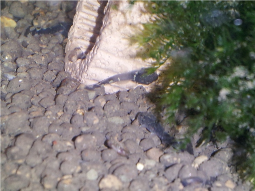 20121115_202057.jpg