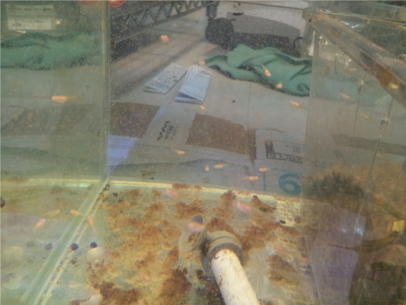 20121118_1932422.jpg