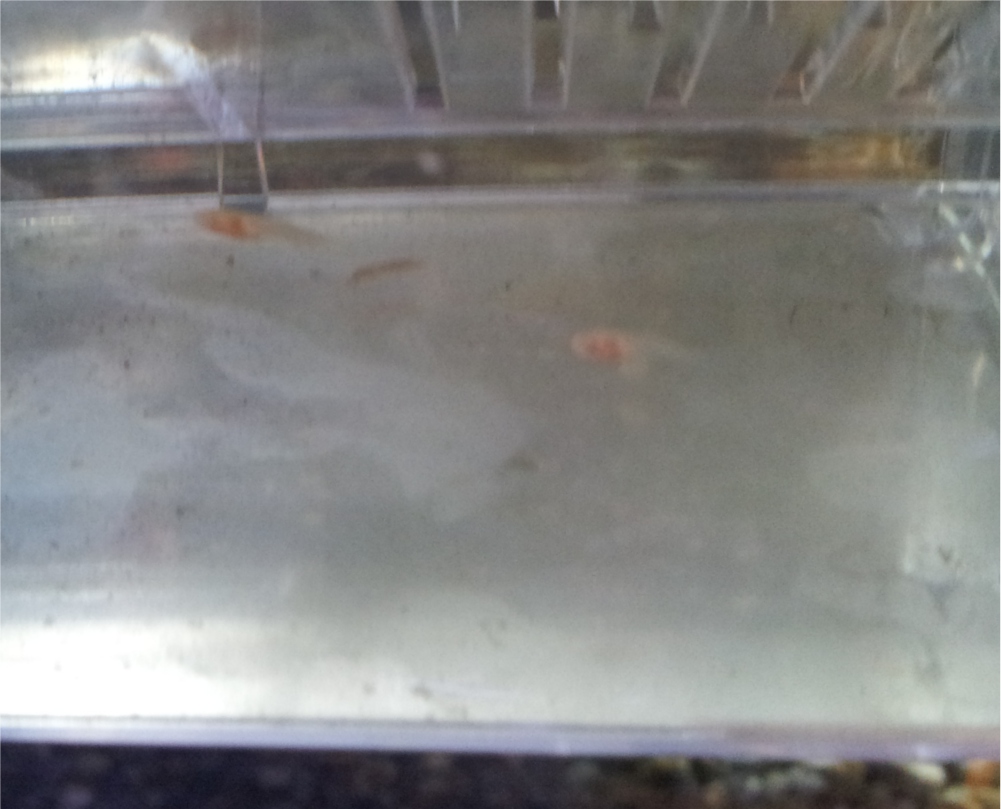 20121221_051728.jpg