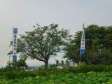 s-P1010233.jpg