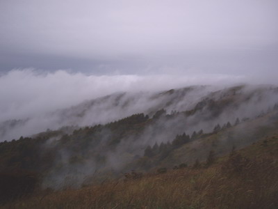 1IMGP7415.jpg