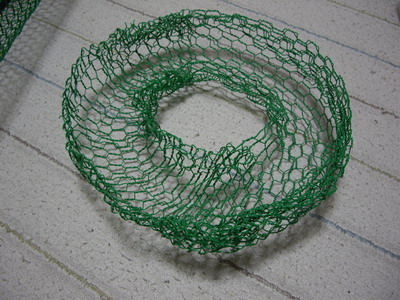 IMGP6414.jpg