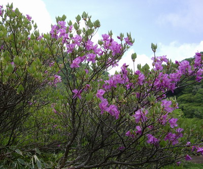 IMGP6574.jpg