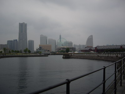 IMGP6590.jpg