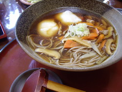 IMGP7309.jpg