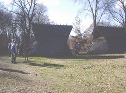 IMGP7759.jpg