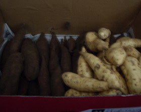 IMGP7769.jpg