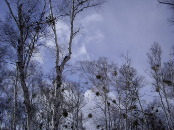 IMGP7859.jpg