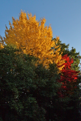 121125-24.jpg