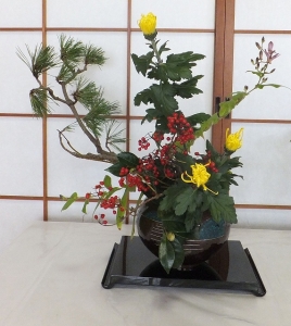 kDSCF1809bs.jpg