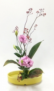 s20141106F2363.jpg