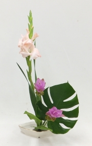 skDSCF1762b.jpg