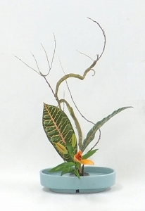 skDSCF1765b.jpg