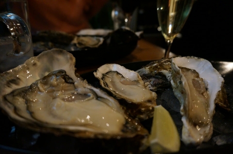 DSC00005.jpg