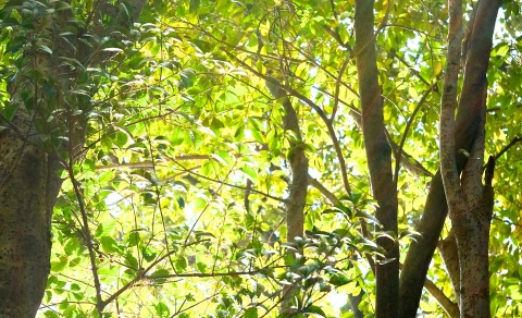 DSC00224.jpg