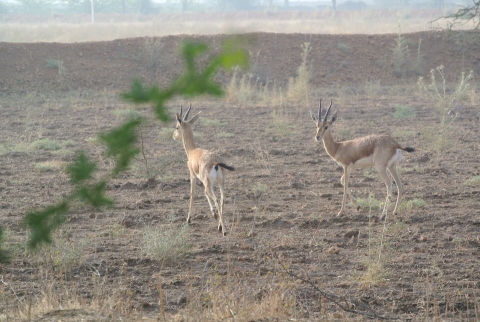 DSC_0727.jpg