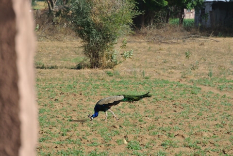 DSC_0757.jpg