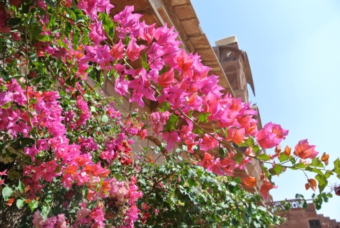 DSC_0842.jpg