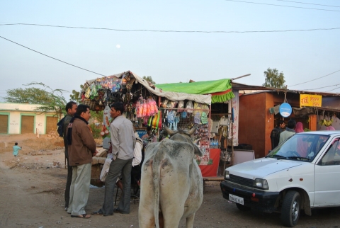 DSC_1114.jpg
