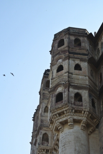 DSC_1157.jpg