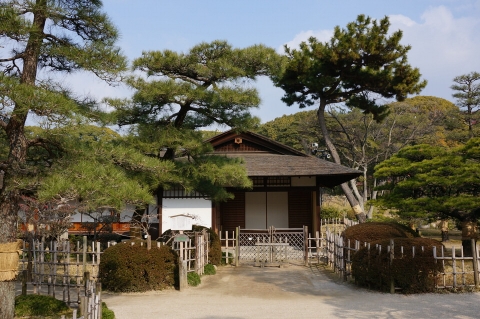 NEX5T.jpg