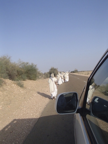 P2251175.jpg
