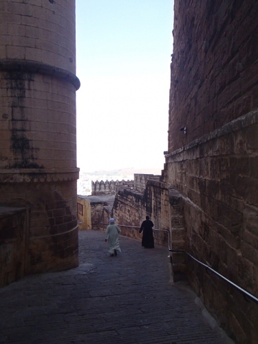 P2251191.jpg