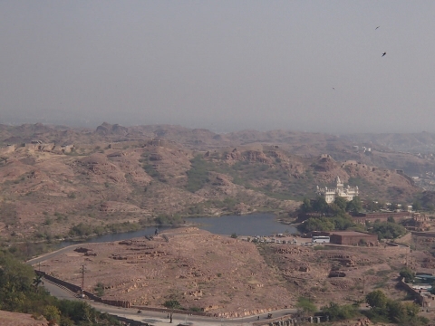 P2251246.jpg