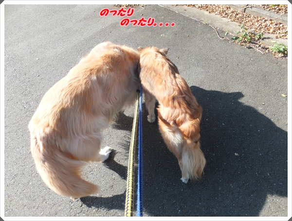26-11のったりのったり