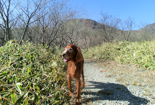 CIMG0745-23.jpg