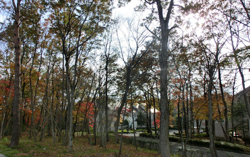 CIMG0771-23.jpg