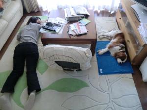 CIMG2640_convert_20130513110639.jpg