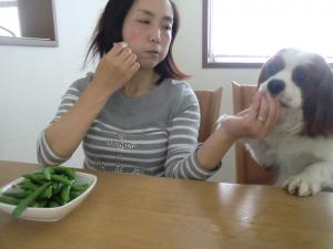 CIMG2808_convert_20130519071944.jpg