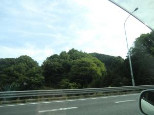 CIMG3044_convert_20130527095255.jpg
