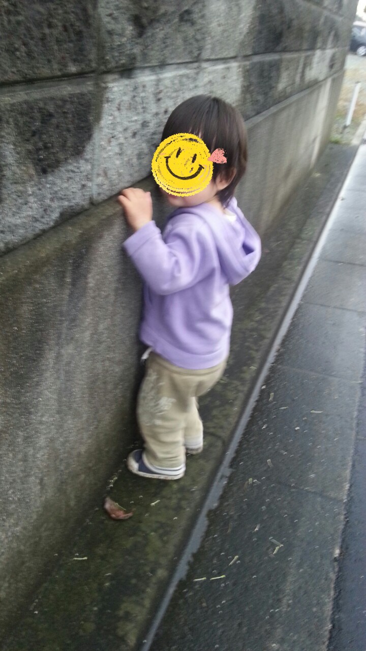 20141128231345950.jpg