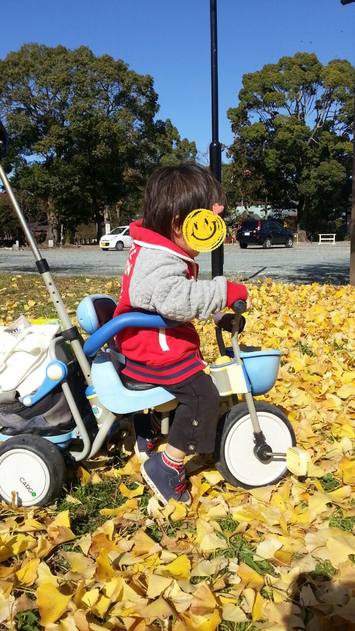 20141128231429861.jpg