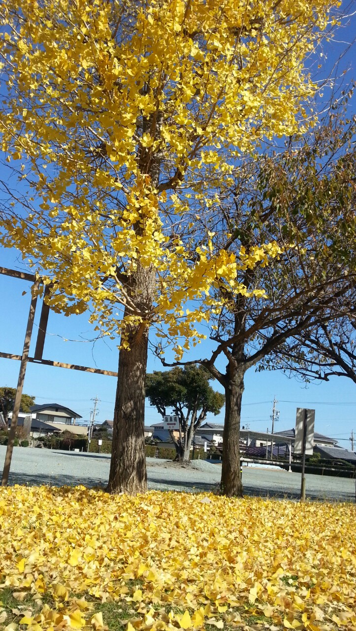 20141128231435307.jpg