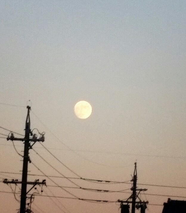 20141205194846664.jpg