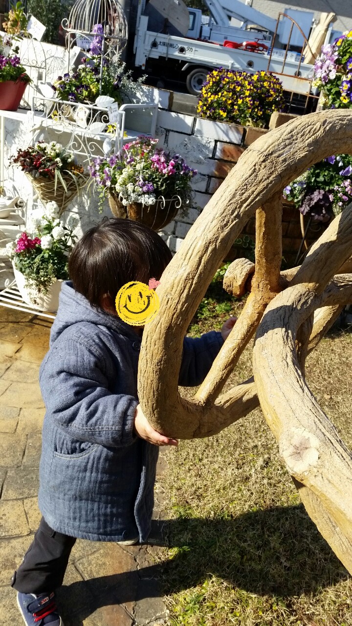 20141208194652687.jpg