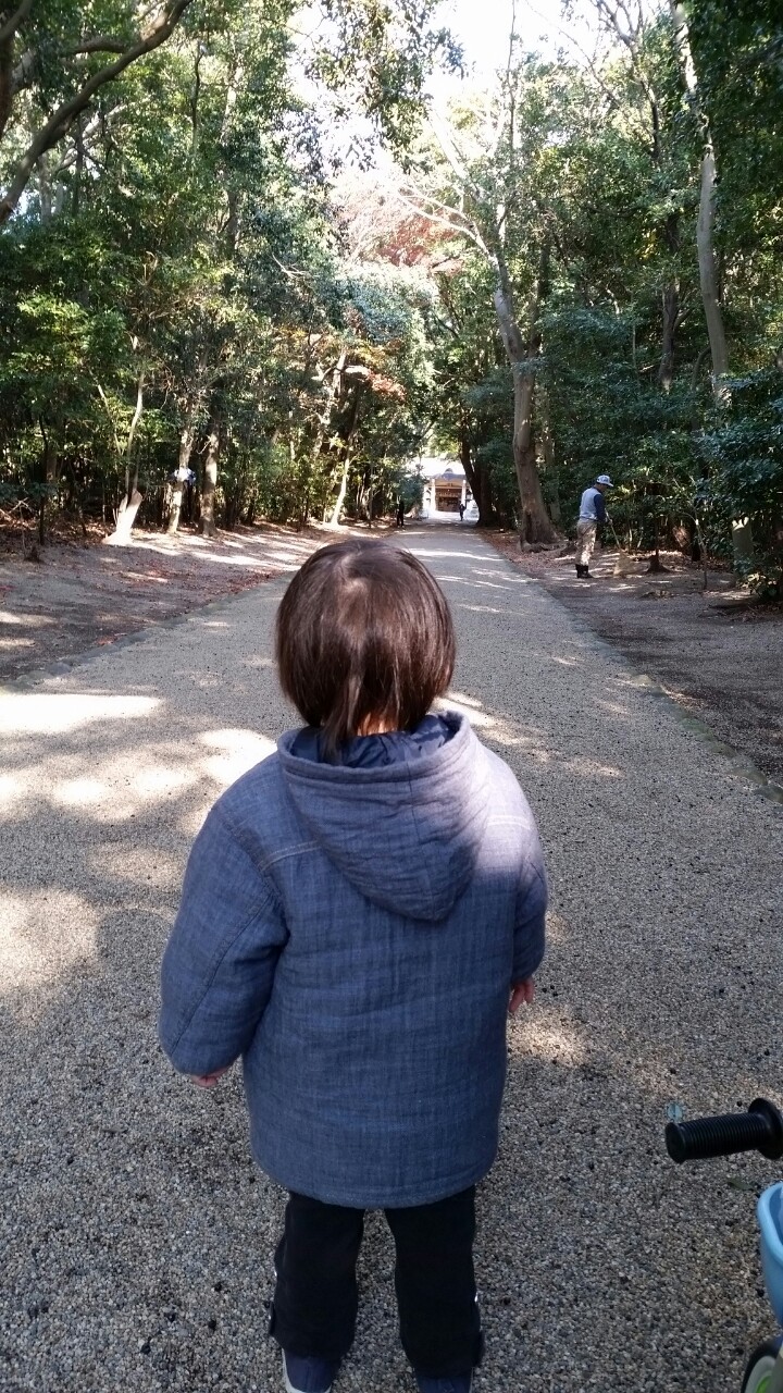 20141208194659917.jpg